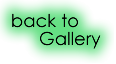 BACK.png